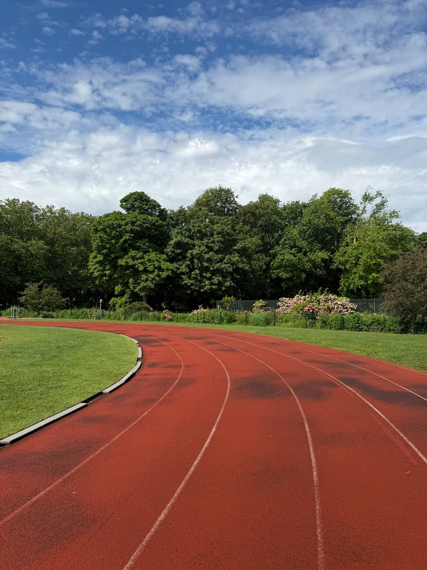 Pista de atletismo al aire libre, rodeada de vegetación.